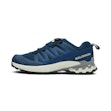 Salomon XA Pro 3D V9 Herre Blau