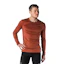 Fusion Technical Merino 150 Shirt Herren Braun