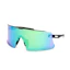 adidas Eyewear Dunamis Pro Herr Multi