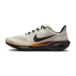 Nike Pegasus 41 Men Mehrfarbig