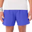 Salomon Shakeout Core 5 Inch Shorts Herren Blau