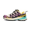 Salomon XA Pro 3D V9 GTX Homme Mehrfarbig