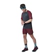 Dynafit Alpine Pro T-shirt Herre Mehrfarbig