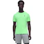 On Performance-T 2 Herre Lime