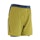 Dynafit Alpine Pro 2in1 Short Homme Mehrfarbig