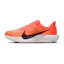 Nike Pegasus Plus Dam Orange