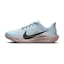 Nike Pegasus Plus Men Blue