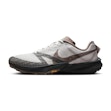 Nike Terra Kiger 10 Herren Grau