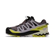 Salomon XA Pro 3D v9 GTX Women Multi