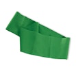 UF Equipment Resistance Band - Strong Green