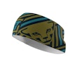 Dynafit Graphic Performance Headband Unisex Mehrfarbig