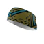 Dynafit Graphic Performance Headband Unisexe Multicolore