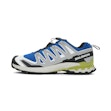 Salomon XA Pro 3D V9 Herre Mehrfarbig
