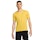 Nike Dri-FIT Rise 365 T-shirt Homme Yellow