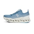 On Cloudsurfer Max Herr Blau