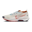 Nike Pegasus Trail 5 GTX Men Mehrfarbig