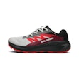 Salomon Alphaglide GTX Herre Grau