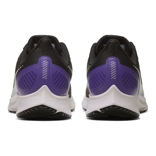 Pegasus top 36 shield