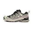 Salomon XA Pro 3D V9 GTX Femme Grau