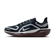 Nike Pegasus 41 GTX Dam Schwarz