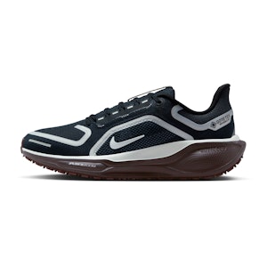 Nike Pegasus 41 GTX Damen Nike Pegasus 41 GTX Damen