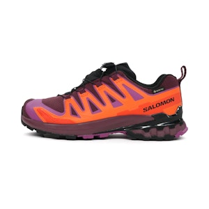 Salomon XA Pro 3D V9 GTX Damen Salomon XA Pro 3D V9 GTX Damen