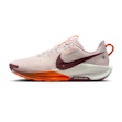 Nike Pegasus Trail 5 Herre Mehrfarbig