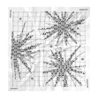 Salomon Bandana GFX Unisexe Blanc
