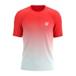 Compressport Performance T-shirt Herr Mehrfarbig