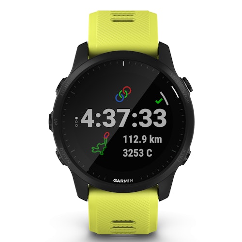 Garmin Singapore Forerunner 245 Apple Music Watch Garmin