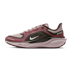 Nike Pegasus 41 GTX Damen Nike Pegasus 41 GTX Damen