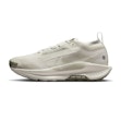 Nike Pegasus Trail 5 GTX Women Grau