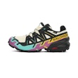 Salomon Speedcross 6 GTX Herr Mehrfarbig
