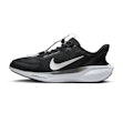 Nike Pegasus EasyOn Homme Schwarz