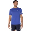 ASICS Icon T-shirt Herre Blau