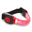 Gato Neon Led Arm Band Rouge