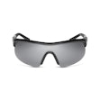 Nike Show X1 Sunglasses Schwarz
