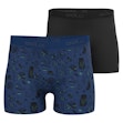 Odlo Active F-Dry Eco Graphic Boxer 2-Pack Herr Mehrfarbig