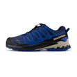 Salomon XA Pro 3D v9 GTX Homme Blau