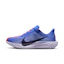 Nike Pegasus Plus Women Blue