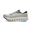 On Cloudsurfer Trail 2 Waterproof Homme Grau