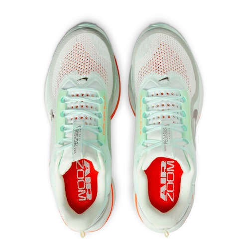 Nike Pegasus Premium Herren - Main Image