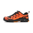 Salomon XA Pro 3D V9 GTX Herren Mehrfarbig