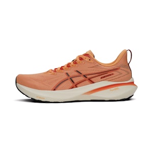 ASICS GT-2000 13 Herren ASICS GT-2000 13 Herren