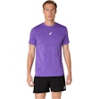 ASICS Road Seamless T-shirt Herr Lila