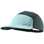 Dynafit Alpine Visor Cap Unisexe Bleu