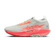 Nike Pegasus Trail 5 GTX Men Mehrfarbig