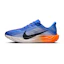 Nike Pegasus Plus Herren Blau