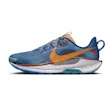 Nike Pegasus Trail 5 Herre Blau