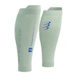 Compressport R2 3.0 Unisex Grün